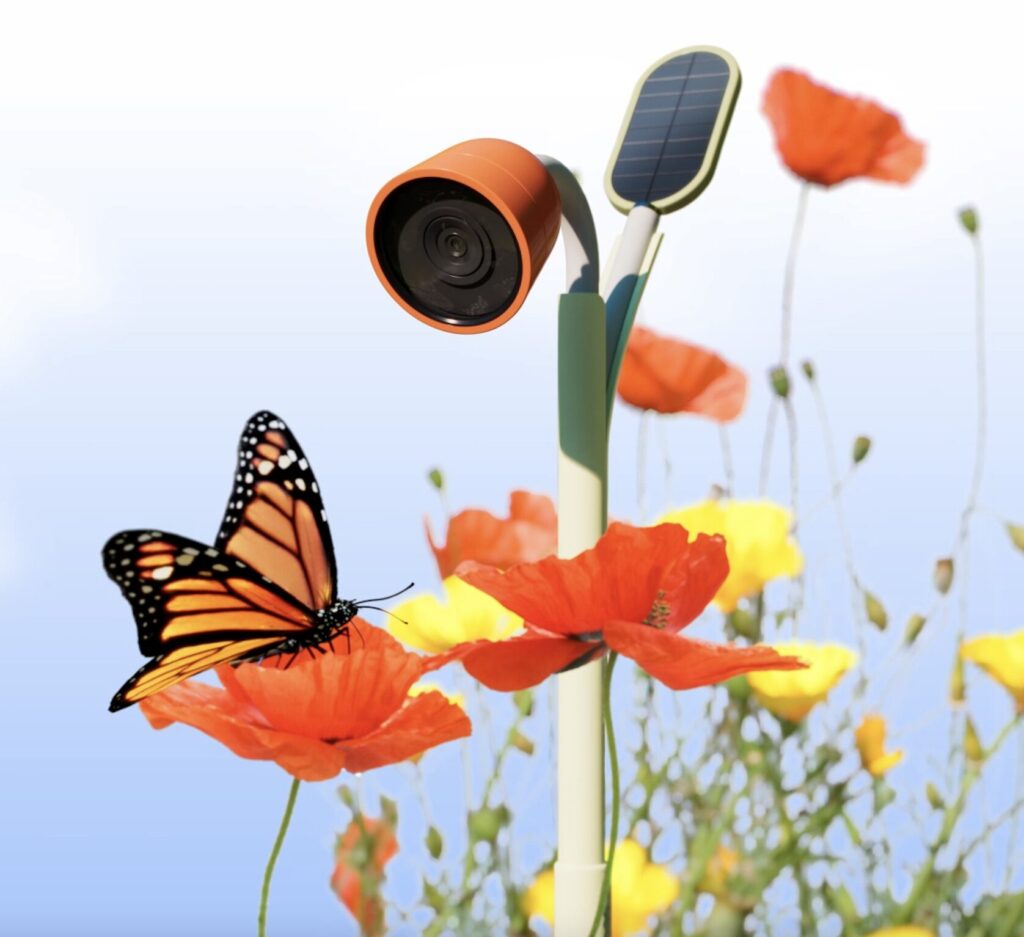 The Petal camera stands amidst vibrant flowers, showcasing its design as a blend of technology and nature. Its orange camera head and solar-powered stem provide eco-friendly, real-time AI-based identification of birds and insects, making it a perfect tool for gardeners, birdwatchers, and budding environmentalists.