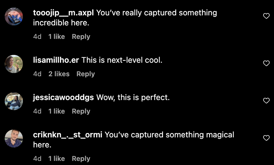 bot comments, such as "You've really captured something incredible here," and "This is next-level cool," reflect automated efforts to sound impressed.