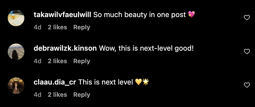 Multiple bot comments say things like, "So much beauty in one post 💖," and "Wow, this is next-level good," using repetitive phrasing to emphasize admiration.