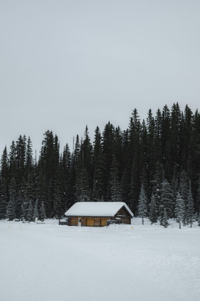 A cozy wooden cabin with a snow-covered roof stands isolated in a vast, white landscape. Tall pine trees rise dramatically behind it, creating a serene, wintry forest scene under an overcast sky.