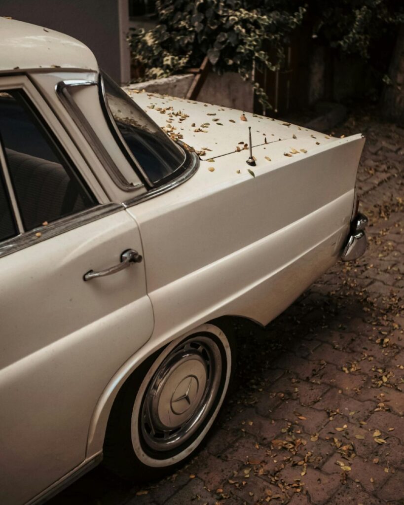 Rear view of a vintage white Mercedes-Benz car with chrome details and fallen leaves, evoking nostalgic automotive elegance.