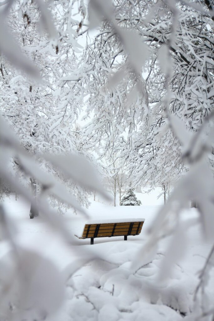 A park bench covered in snow, framed by frosted tree branches in a serene winter landscape with soft white textures. Peaceful winter nature scene.