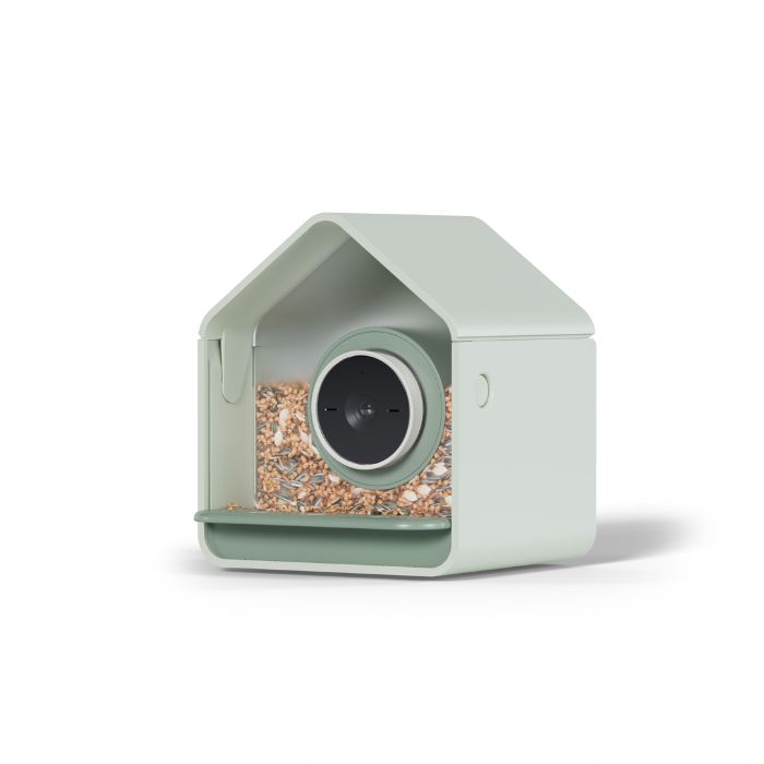 Bird Buddy 2 Mini smart bird feeder with built-in 2K camera and AI bird recognition, shown filled with seeds in a compact pastel green housing.