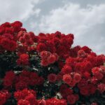 110 Valentine’s Day & February Instagram Captions That Aren’t Cringe In 2026